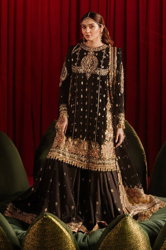Mohsin Naveed Ranjha | Zarlish | Afreen