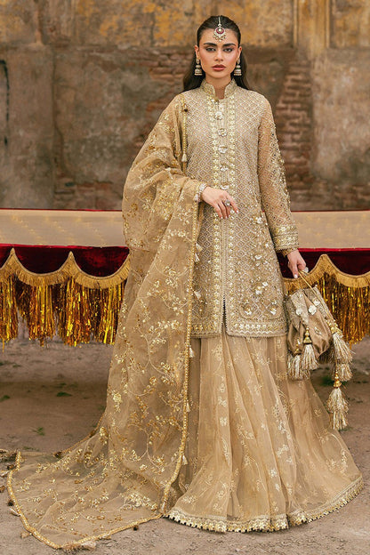 Mohsin Naveed Ranjha | Zarlish Festive 2026 | Roshni
