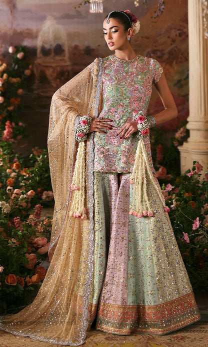 Nomi Ansari | Wedding Edit'26 | Rosebud