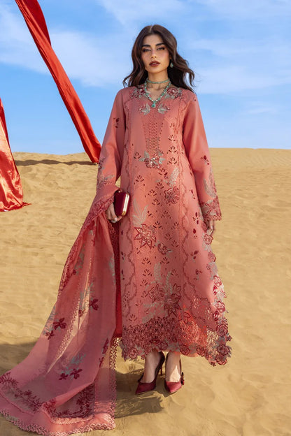 Rang Rasiya | Premium Summer Collection '26 | Amani