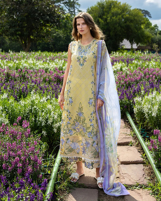 Mushq | The Secret Garden Lawn | Sunlit Meadow
